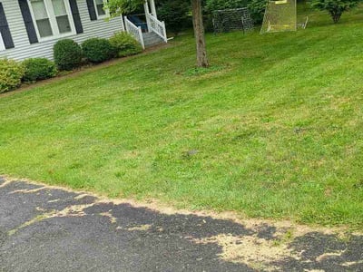 Lawn care service in Cohoes, 12047