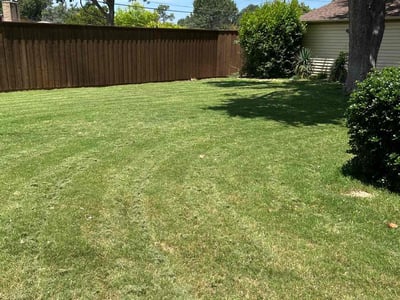 Lawn care service in Dallas, 75244