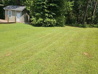 Lawn care service in Covington, 30016