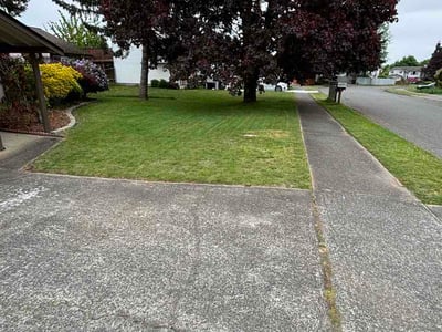 Lawn care service in Tacoma, 98422