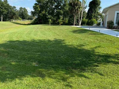 Lawn care service in Kissimmee, 34758