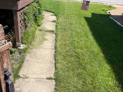 Lawn care service in St. Louis, 63116