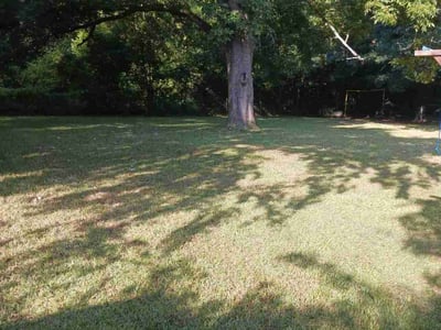 Lawn care service in Byron, 31008