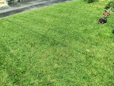 Lawn care service in Parkville, 21234