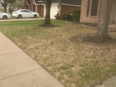 Lawn care service in Pearland, 77584