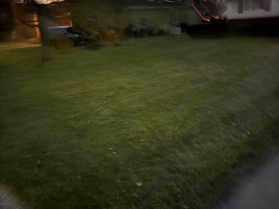 Lawn care service in Westlake, 44145