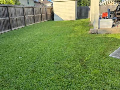 Lawn care service in Friendswood, 77546