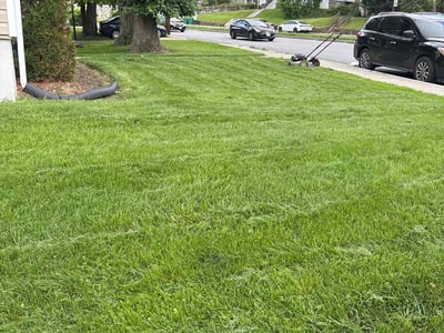 Lawn care service in Baltimore, 21207