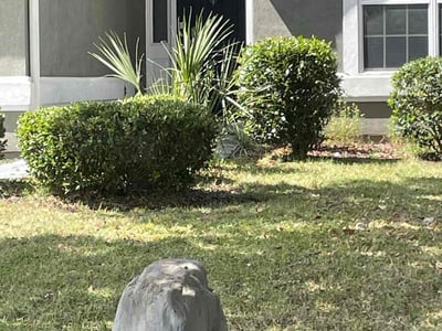 Lawn care service in Tallahassee, 32311