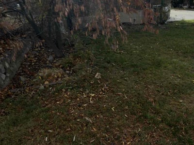 Lawn care service in Ogden, 84403