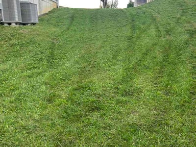 Lawn care service in Georgetown, 40324