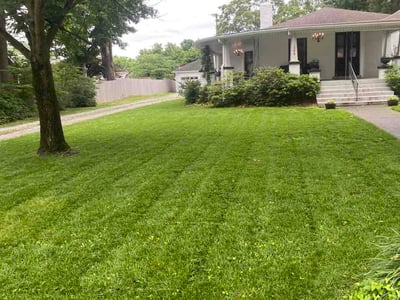 Lawn care service in Nashville, 37206
