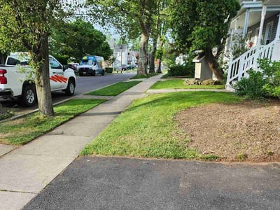 Lawn care service in Freehold, 07728