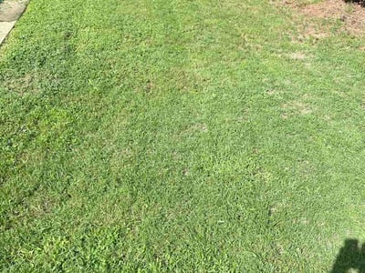 Lawn care service in Fuquay-Varina, 27526