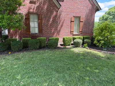 Lawn care service in Fort Worth, 76116