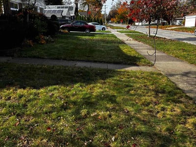 Lawn care service in Allen Park, 48101