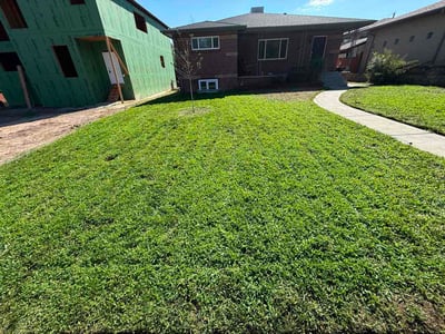 Lawn care service in Denver, 80212