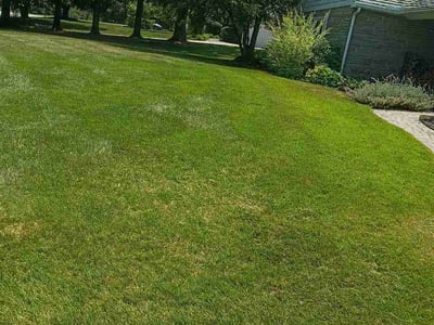 Lawn care service in Eagleville, 19403