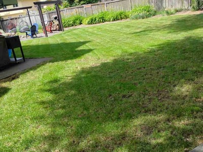 Lawn care service in Spokane, 99223