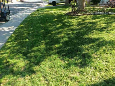 Lawn care service in Parker, 80134