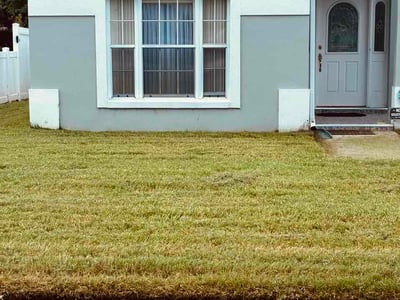 Lawn care service in Orlando, 32805