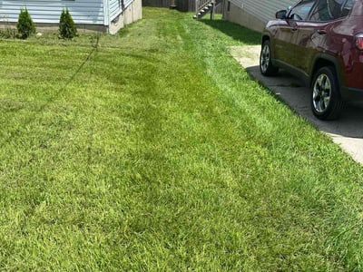 Lawn care service in La Vergne, 37086