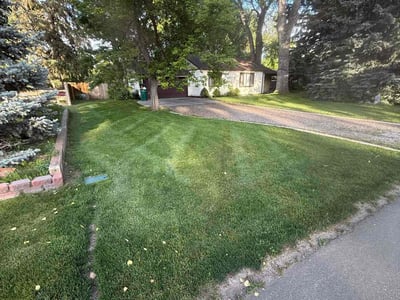 Lawn care service in Lakewood, 80226