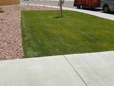 Lawn care service in Falcon, 80831