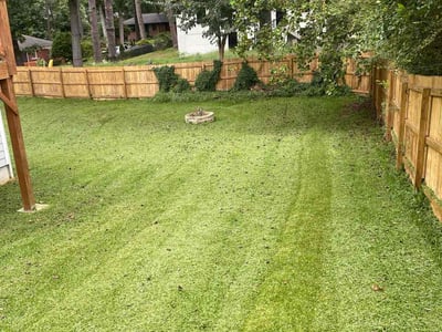 Lawn care service in Smyrna, 30080