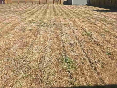 Lawn care service in Beaverton, 97005