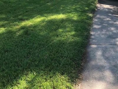 Lawn care service in Duncanville, 75137
