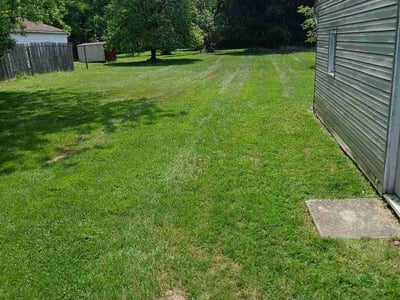 Lawn care service in Strongsville, 44136