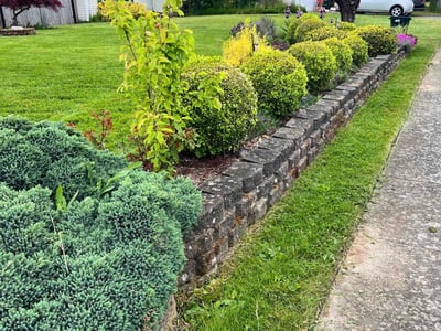 Lawn care service in Ferndale, 98248