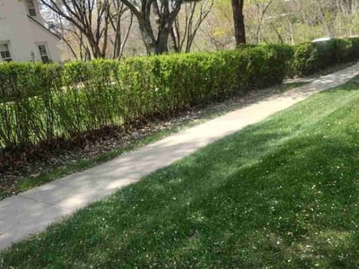 Lawn care service in Omaha, 68132