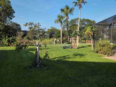 Lawn care service in Palm Coast, 32137