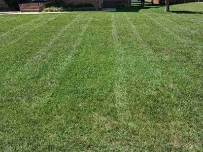 Lawn care service in Colonial Heights, 23834