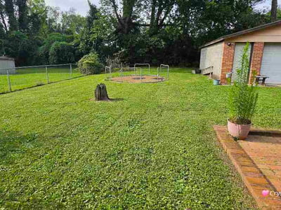 Lawn care service in Louisville, 40218