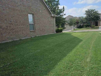 Lawn care service in Forney, 75126