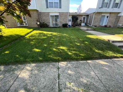 Lawn care service in Summerfield, 20785