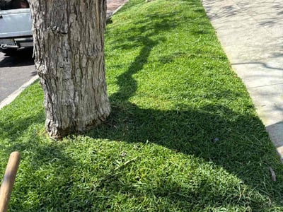 Lawn care service in Los Angeles, 90019