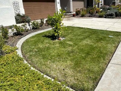 Lawn care service in Folsom, 95630
