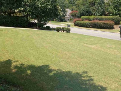 Lawn care service in Birmingham, 35242