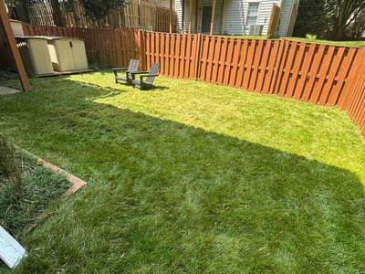 Lawn care service in Vienna, 22181