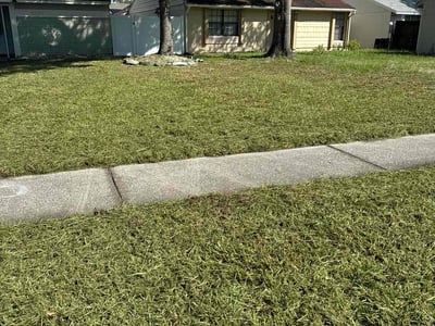 Lawn care service in Tampa, 33618