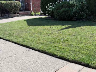 Lawn care service in Grosse Pointe, 48236