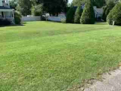 Lawn care service in Byron, 31008