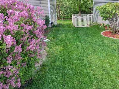 Lawn care service in Madison, 53718