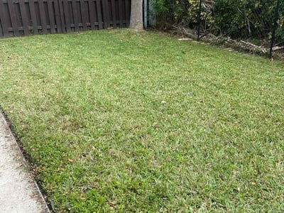 Lawn care service in Davie, 33331