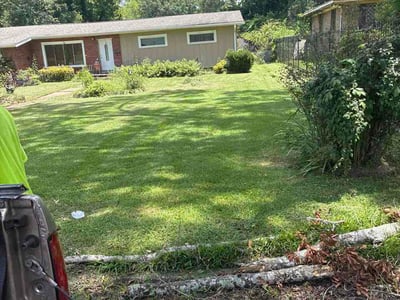 Lawn care service in Jackson, 39206