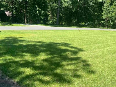 Lawn care service in Brandon, 39047